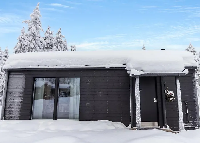 Visit Pyhae D By Interhome Vakantiehuis Pyhätunturi