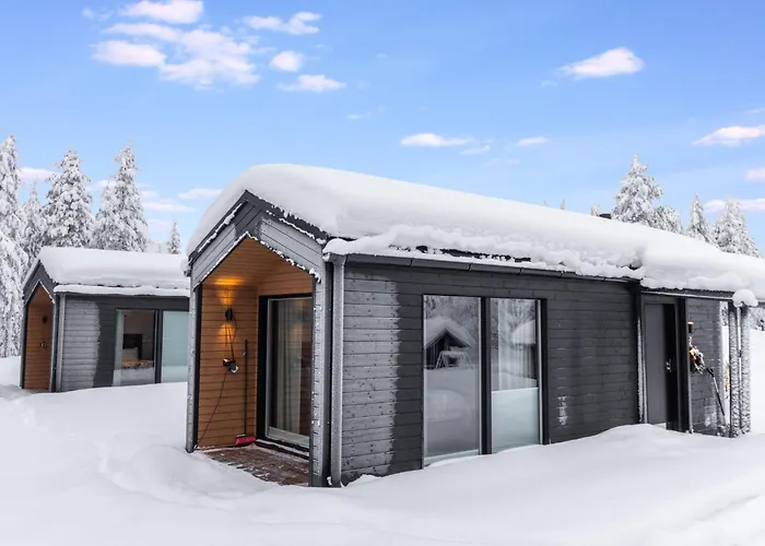 Vakantiehuis Visit Pyhae D By Interhome Pyhätunturi